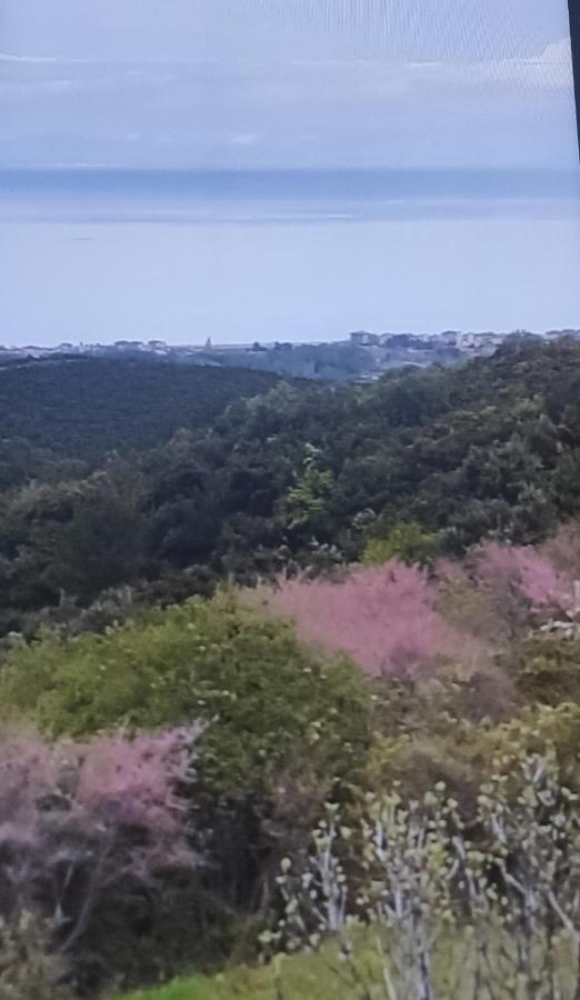 Πανοραμα Villa Aigani Екстериор снимка